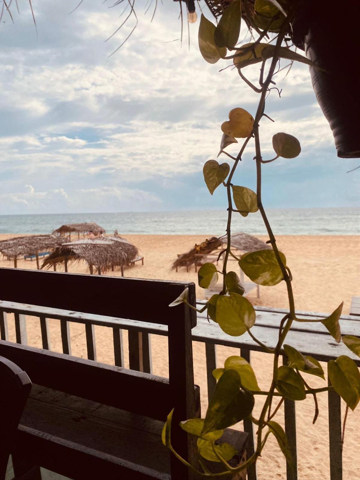 Sea Shine Guest House Hikkaduwa Ngoại thất bức ảnh