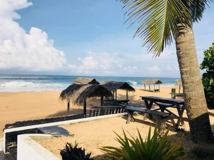 Sea Shine Guest House Hikkaduwa Ngoại thất bức ảnh